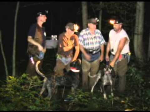 coon hunting with blueticks