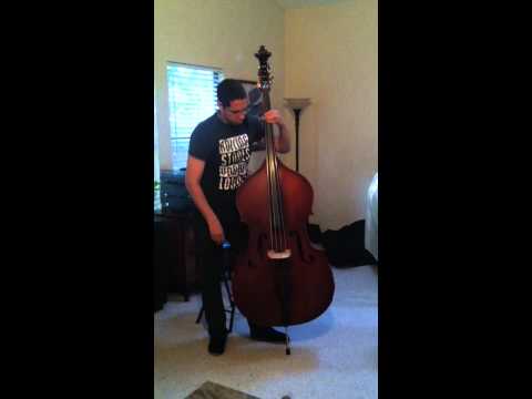 test-Linear Fantasia model doublebass- Obligato strings