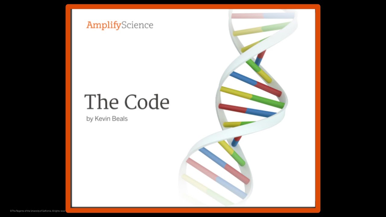 The Code by Kevin Beals - YouTube