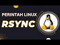 Cara BACKUP file dan folder secara remote - rsync