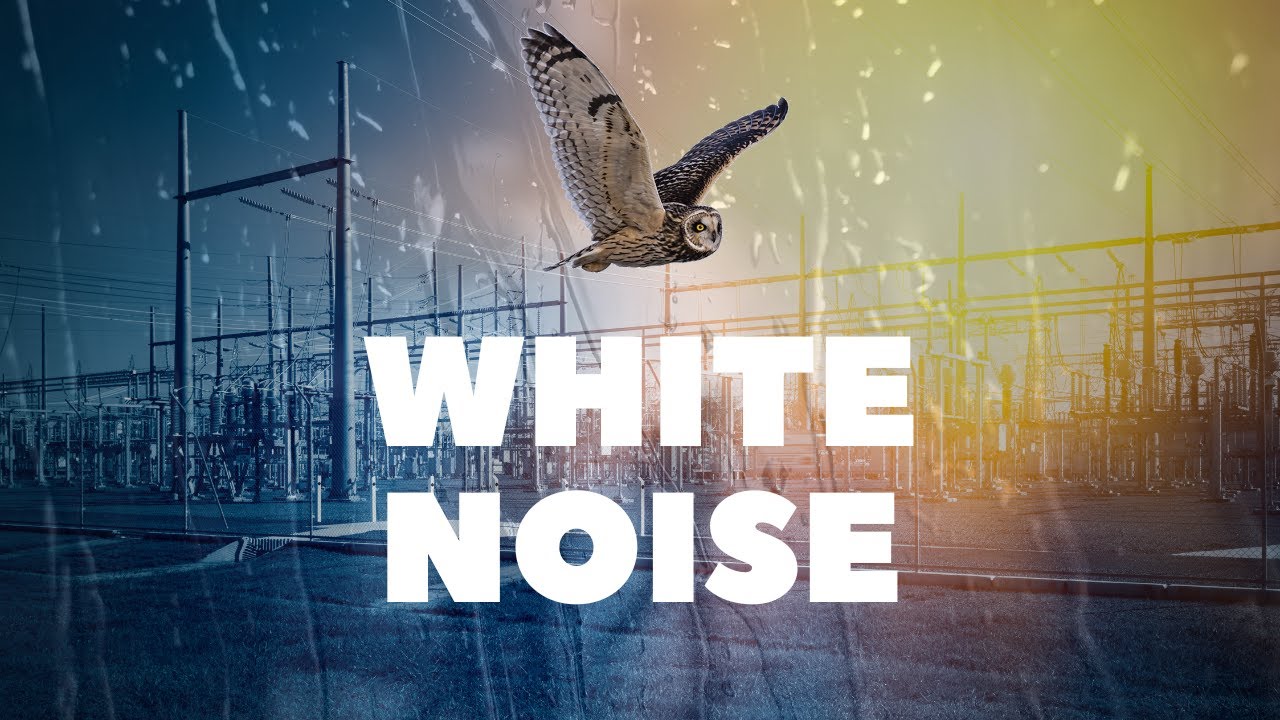 White Noise with Rain, Wind, Thunder, Geese, Owls, and the Constant Hum