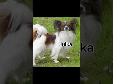 twoje imię twój