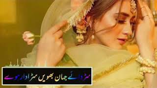 Saraiki status Kaise bany/green screen kaise use kaise use Karen  /kinemaster Saraiki status Urdu s screenshot 2