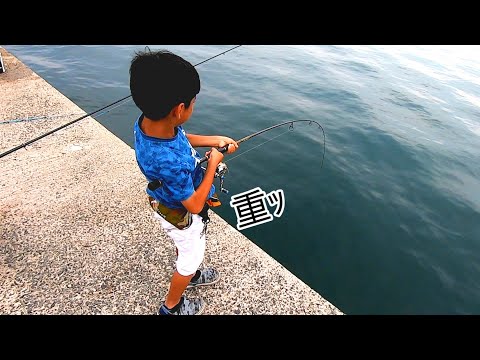 秋の堤防で旬の魚が大漁！泳がせ釣りにまさかの展開が❕❕