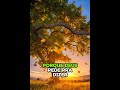 Ouça com atenção #Deus #Fé #boanoite #oracaodanoite #palavraqueedifica