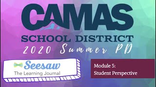 Seesaw 5- Student Perspective