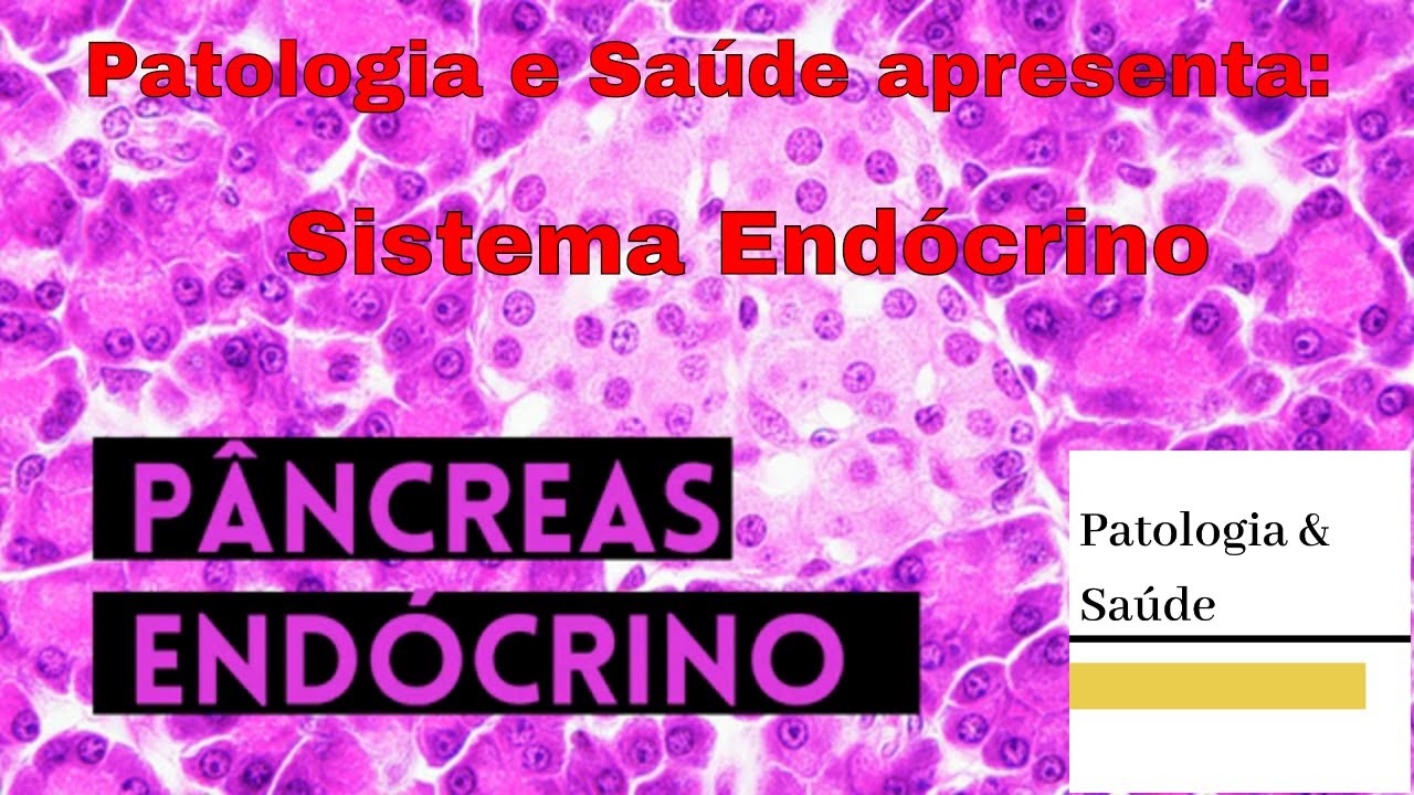 Sistema Endócrino: Histologia do pâncreas
