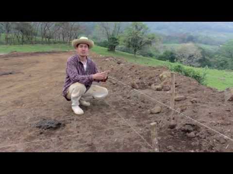 Video: How to level a plot of land in the country