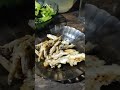 Sarapan Pagi Sehat Masakan Hasil Kebun