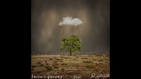 تلاوة مبكية بصوت ادريس ابكر