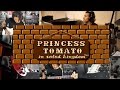 Princess tomato in the salad kingdom  obscure nes game  sergio and the holograms