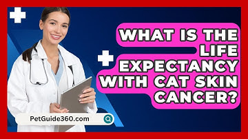 What Is The Life Expectancy With Cat Skin Cancer? - PetGuide360.com