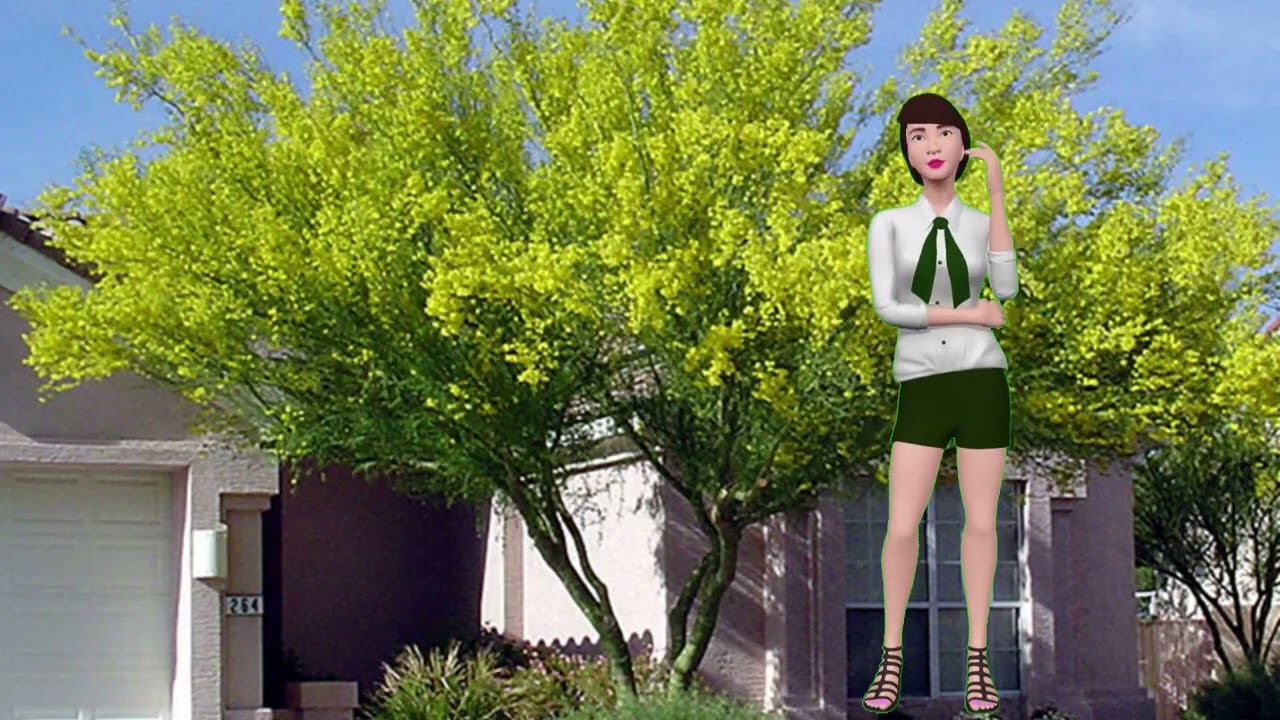 Are You Worried Because The Color Is Off On Your Blue Palo Verde?