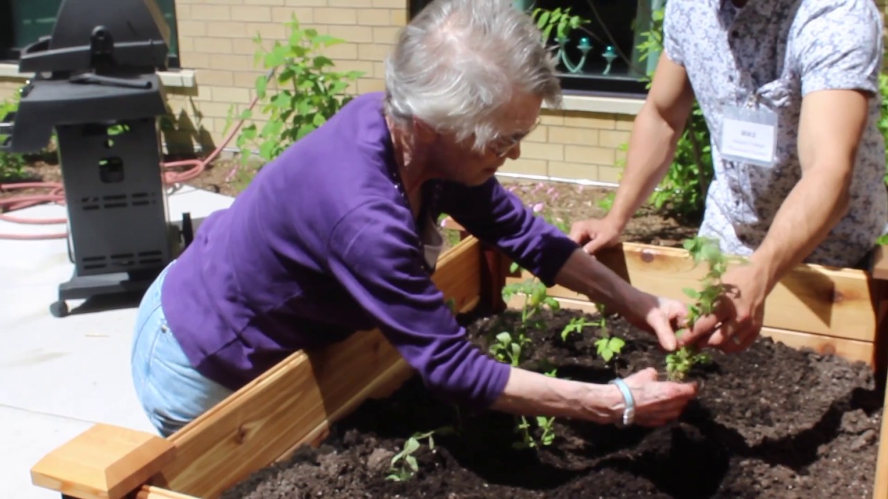 Dementiability at Royal Rose Place YouTube