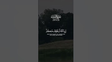 #القارئ #محمد_اللحيدان #سورة_النساء #قران_كريم_راحه_نفسيه #yasseraldossary #راحة_نفسية