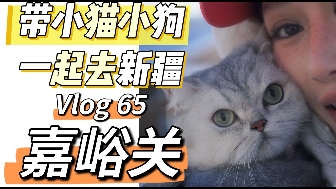 带小猫小狗一起去新疆 65集 嘉峪关