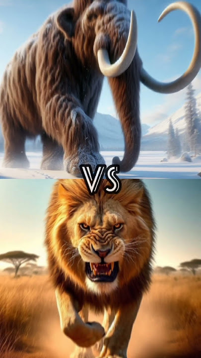 Mammoth Vs Lion Vs Animals (Cheetah. hyenas. rhino. Black panther.)💀💀
