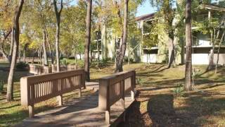 Royal Phoenician Apartments in Houston, TX - ForRent.com