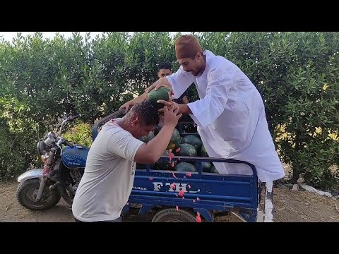 لما تروح لبتاع البطيخ تدوق وفي الاخر ماتشتريش