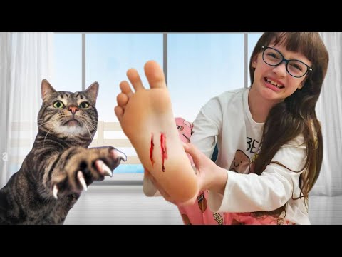 Video: Le gioie e i pericoli del vivere con un gatto del Bengala