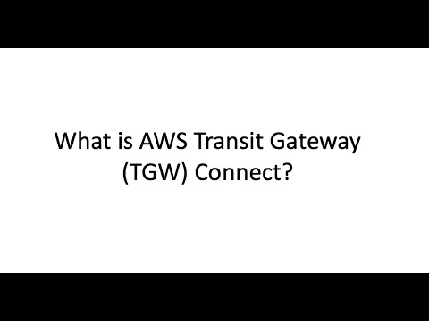 AWS Transit Gateway (TGW) connect attachment