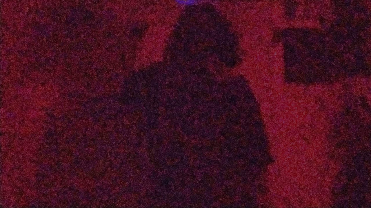 eu não devia ter deixado ela entrar