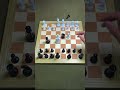 Easy chess trap #chess #chesscommunity #chessgame #chessboard #chessset #chessking #chesssteps