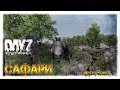 САФАРИ с Alex Shish✌ DayZ НЕУДЕРЖИМЫЕ СТРИМ 1.08