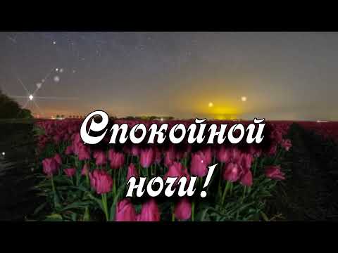 Спокойной ночи! Пусть снятся Вам поля тюльпанов, пусть сказкой будет эта ночь!