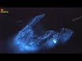 Amazing Florida Bioluminescence!  Here's How to Do A Bioluminescent Kayaking Tour.