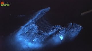 Amazing Florida Bioluminescence! Here's How to Do A Bioluminescent Kayaking Tour.