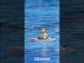 Homer's Great Naval Adventure! 🚣♂️⚓️