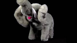 Baby Einstein: Baby Noah - Bongo Elephant's Theme