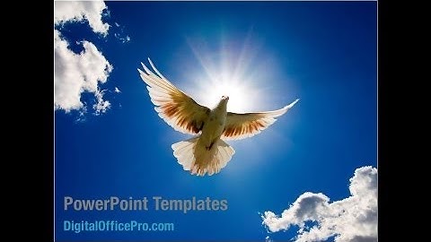 Soaring Dove PowerPoint Template Backgrounds - DigitalOfficePro #09389