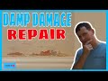 How to repair damp damage before painting. Damp damage repair.