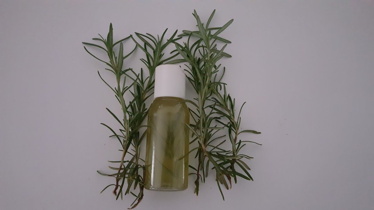 How to make rosemary oil for hair growth, at home. - YouTube