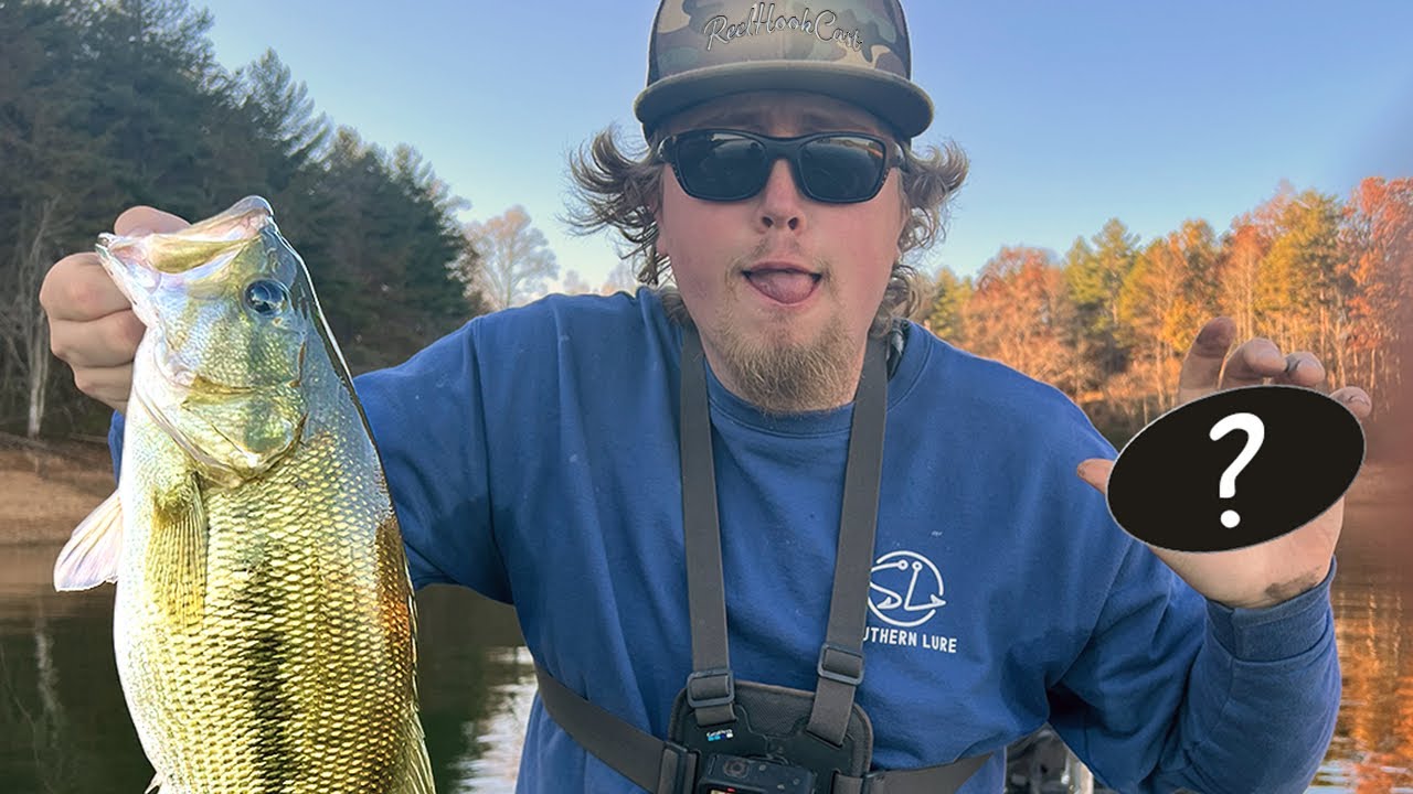 CATCH TONS of BIG BASS USING this easy LURE!?