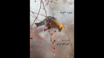 ما تيسّر من سورة التّوبة، الشيخ عُمر القزابري