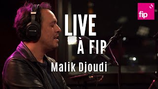 Live à fip : Malik Djoudi