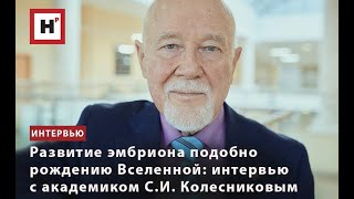 Развитие Эмбриона Подобно Рождению Вселенной: Интервью С Академиком С.и. Колесниковым