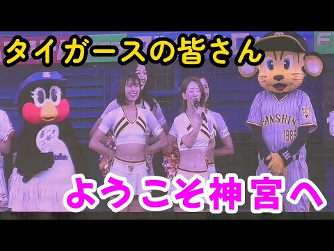 2023/9/1 つばみも歓迎 トラッキー&タイガースガールズ神宮ご来場