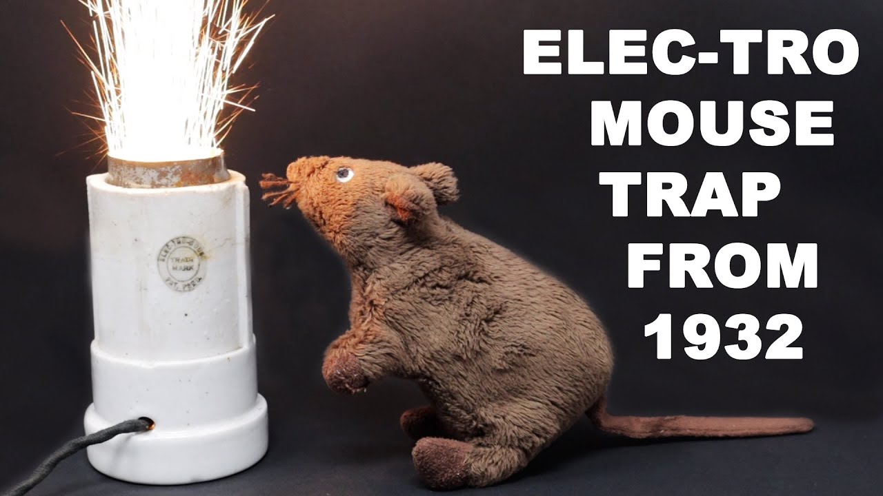 Shut The Front Door Electric Rat Trap - Montrap Electric Trap. Mousetrap  Monday 