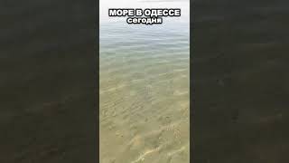 Море В Одессе 16.10.2025 – Осенний Бриз, Прозрачная Вода И Тёплый День У Пляжа 🌊☀️3