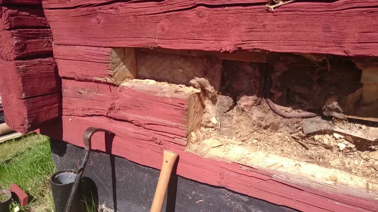 Rensar rötskadat timmer