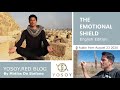 Matas de stefano day 20 emotional shield yosoyred blog toroid emotionalleo read by joan 823