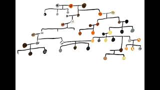 Firestars family tree
