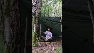 Were Back Wild Camping In The Woods 4 Nights Solo In The New Forest