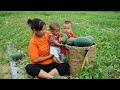Single mom does everything to raise two children alone harvest watermelon goes to sell daily life