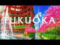 Spring Fukuoka 4K, Japan 🌸 Maizuru Park, Castle Ruins &amp; Sakura Along Naka River Walks