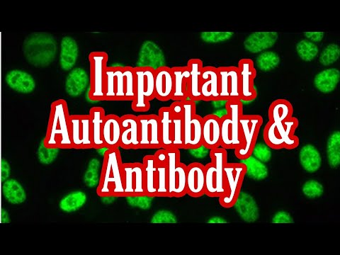 List of Autoantibodies & Antibodies || Mis.Medicine #antiRo #Antismith